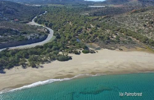 Mandarini House - Foto 47