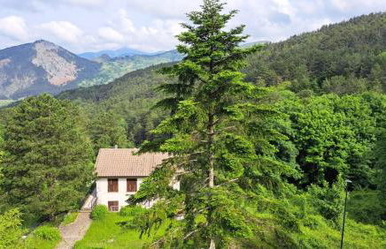 Casa del toni - Foto 14