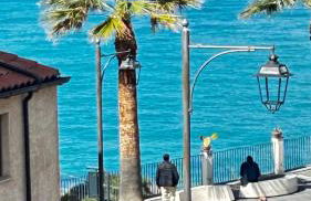 La casa sulle mura di Tropea vista mare - Photo 1