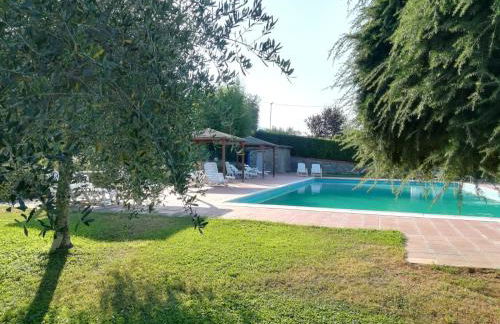 residence San miniato - Foto 45