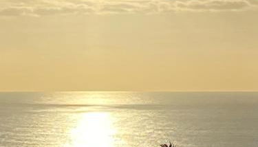 Green Tropical House - Photo 3