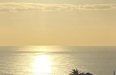 Green Tropical House - Photo 3