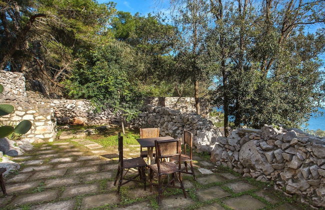 Pajara Acquaviva - Foto 8