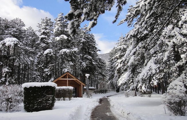 Huttopia Divonne - Foto 26