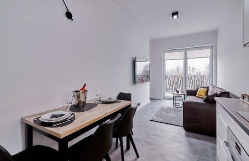 Apartament Sztuk Pięknych 14 - Foto 13