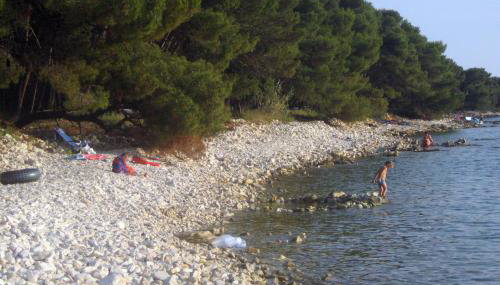 Family friendly house with a swimming pool Barbariga, Fazana - 22763 - Foto 5