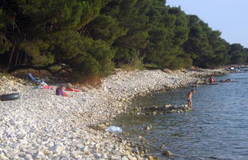 Family friendly house with a swimming pool Barbariga, Fazana - 22763 - Photo 5