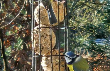 Villa RABADA - Foto 23