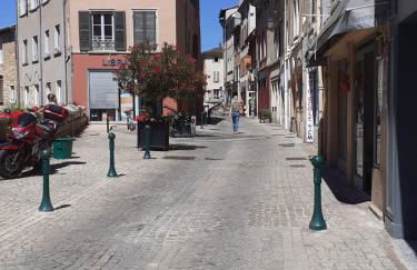 Trévoux: loft ravissant avec terrasse - Foto 15