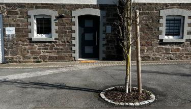 Ferienwohnung zentral in Bad Fredeburg - Foto 3