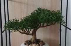 Ferienwohnungen Nahrstedt - Foto 21