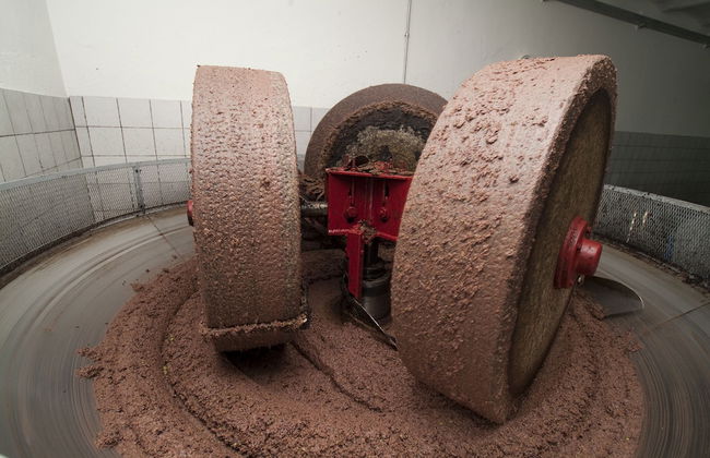 Podere Campofossato - Photo 23