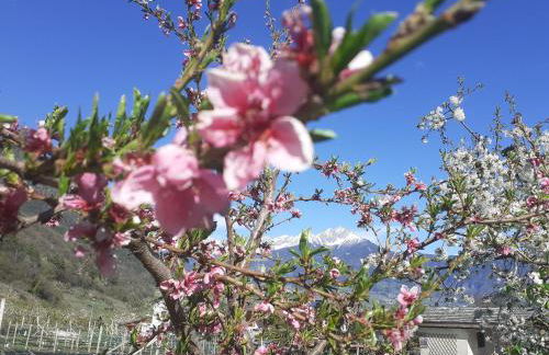Fröhlichhof Wohnung Pink Lady - Foto 18