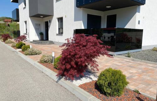 Apartments Dora Sveti Martin na Muri - Foto 51