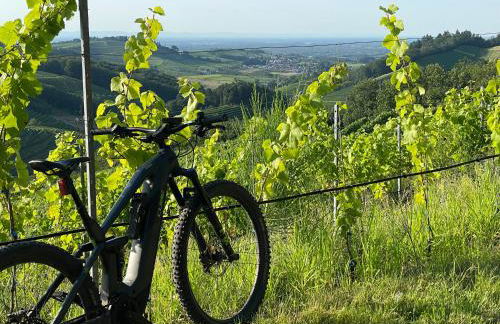 Schwarzwald Wellness byHannes - Sauna, Wandern & Straßburg Erlebnis - Foto 27