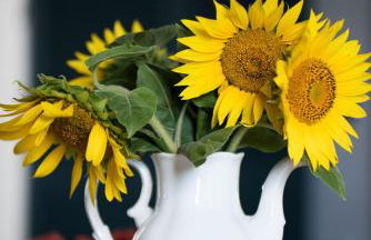 Stara Stolarnia Noclegi - Foto 17