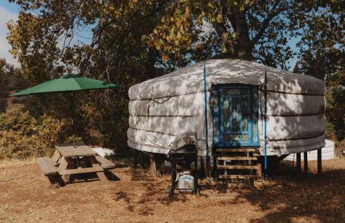 Glamping yurt at a nature retreat near Sequoia - Foto 39