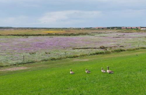 Friesenrose Süd - Foto 20