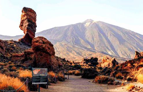 Canela Tenerife Apartment - Foto 47