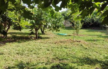 Garden house - Photo 77