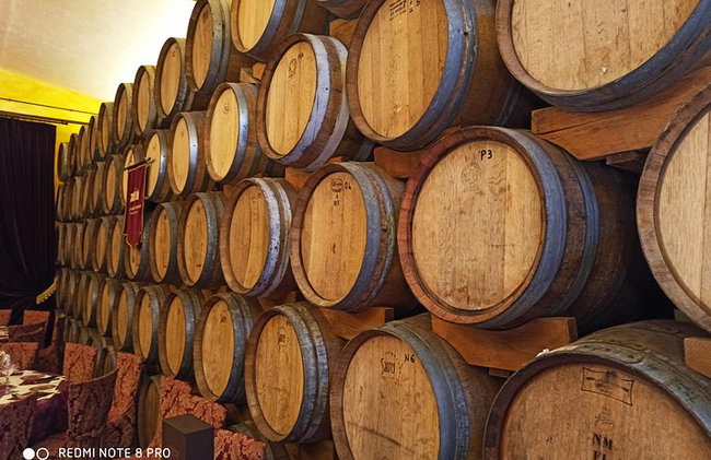 "Recorre las onduladas colinas de Chianti" con almuerzo y degustaciones de vino - Foto 20