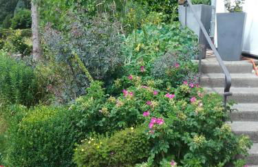 Perlenbachtal - Foto 30