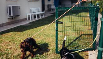 ANIMA JESOLO - DRAGO VILLAGE, Beach & Pool, 2 Parkings - Foto 4, Garden