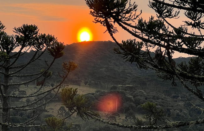 flor da serra cabanas charme e altitude - Foto 68