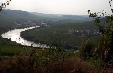 Ferienhaus Elisa - Foto 32