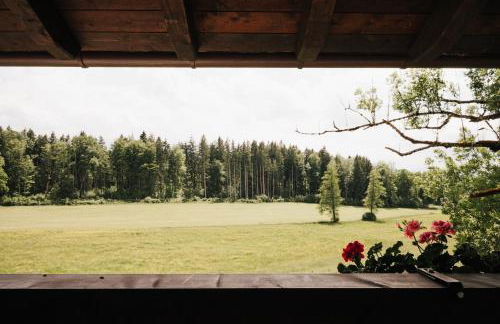 Chalet Zugspitze, Kamin, Tiere - Foto 11