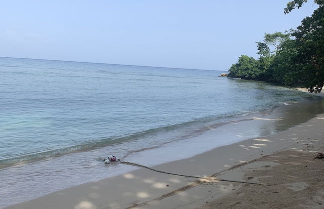 Idyllic Duplex with Ocean - Photo 11