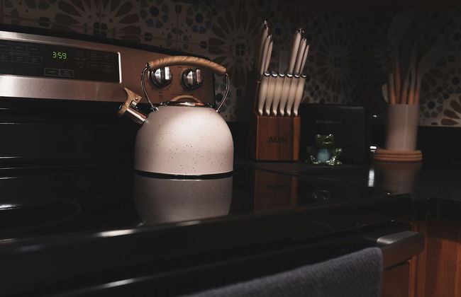 Modern Oasis - Photo 29