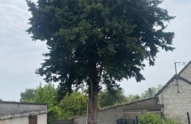 Maison Le grand sapin , 5min du zoo parc de Beauval - Foto 40