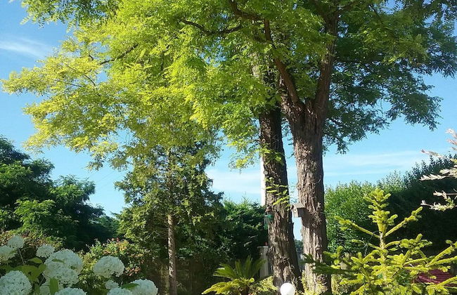 Gîte Les Acacias - Foto 20