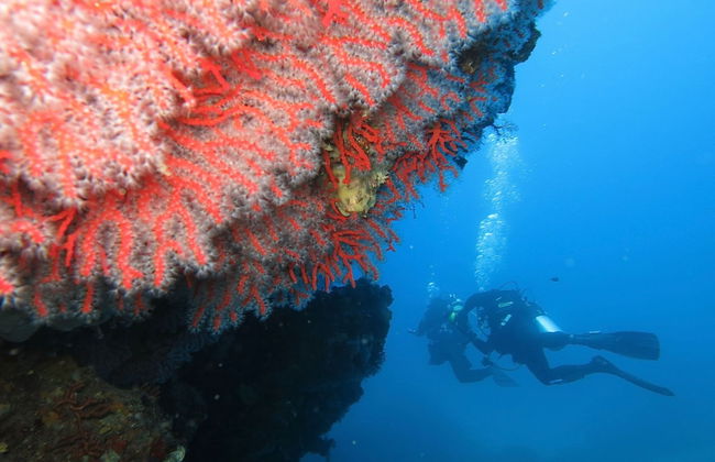 Hotel Costa Paradiso - Foto 24