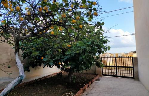 Il Patio - Villa indipendente con ampio cortile e giardino interno - Foto 18