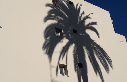 Les Pins . 2 p calme et terrasse - Foto 12