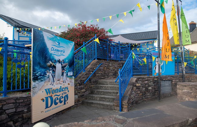 Dingle Harbour Cottages - Foto 27