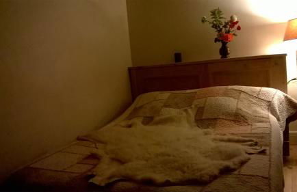 Les Allées de Bellecour - Photo 72