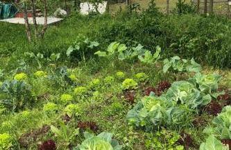 Monte da Rochela - Foto 19