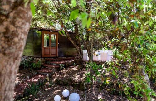 Casa Saltara - Foto 39