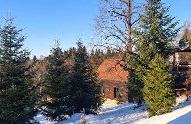 Osada Głębuczek - apartamenty w Beskidach - Foto 52