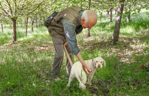 Agriturismo Le Dolci Colline - Photo 37