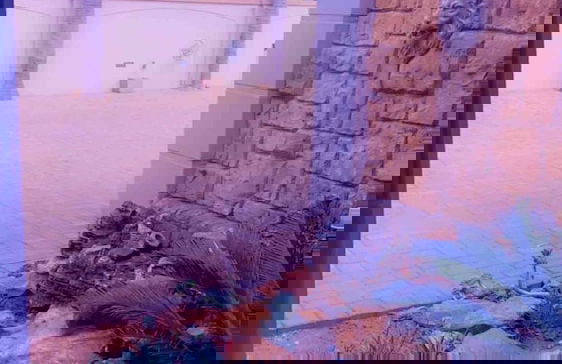 Or Tambo Airport Holiday Home - Photo 56