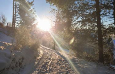 Ferienwohnung Wisentsteig - Foto 16