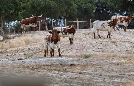Villas Conde de Murça - Foto 76