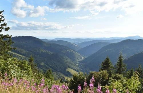 Ferienwohnung Penthouse Feldberg - Photo 35