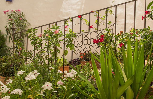 Habitaciones y Apartamentos en el centro La Jábega by Conil Home - Photo 157