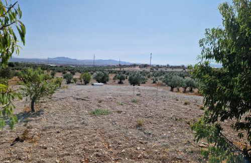 Casa De La Familia - Appartement - Photo 23