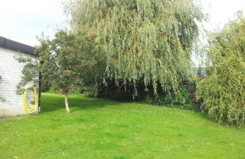 Elbe Ferien - Foto 51